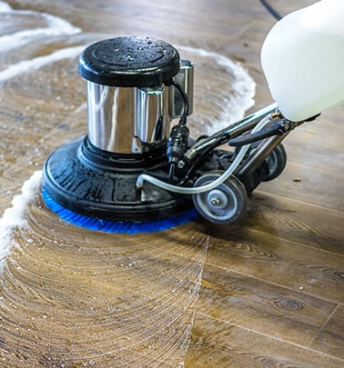 OCD Cleaners,OCDcleaners,ocd House cleaning San Antonio,House cleaning services San Antonio,San Antonio house cleaning,San Antonio commercial cleaning,ocd cleaners,cleaning services San Antonio,House cleaning services san antonio,Residential cleaning services,Residential cleaning services San Antonio,hoarding cleanup san antonio,cleaning services,hoarders cleaners,cleaning service san antonio,house cleaning service,cleaning services near me,OCD Cleaners,ocdcleaners,ocd cleaners,house cleaning services in San Antonio,house cleaning services San Antonio,Commercial Cleaning Service in Austin