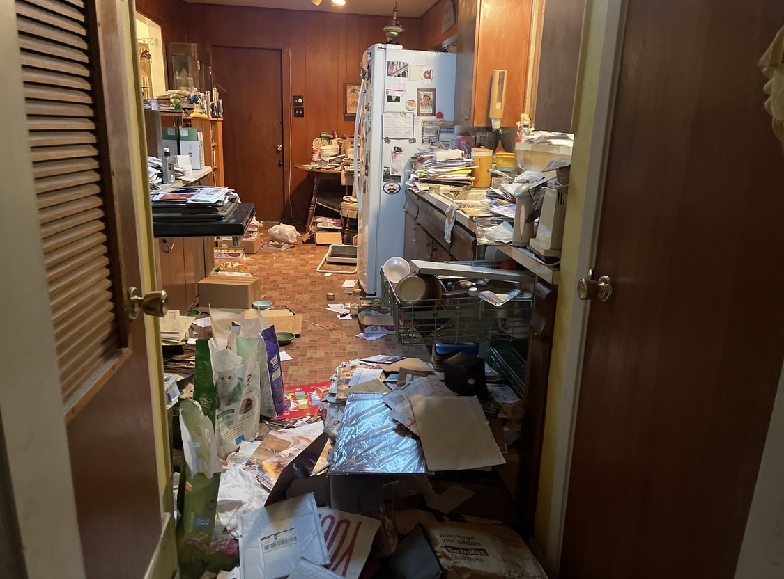 Before cleaning